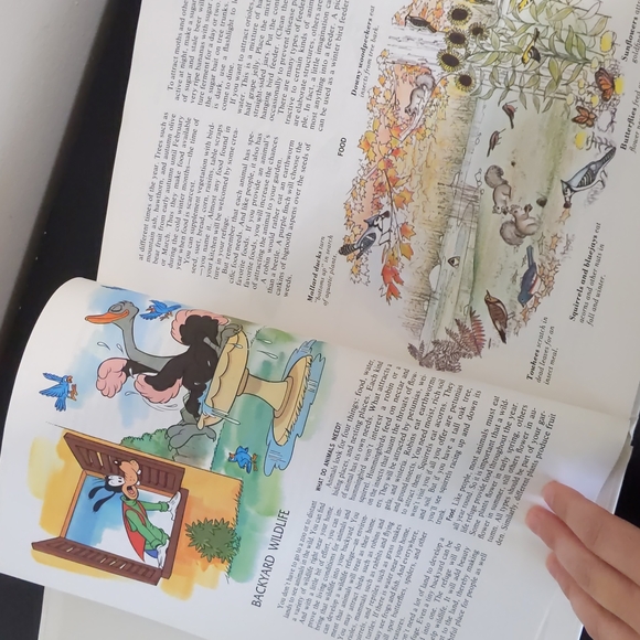 Vintage Disney's Wonderful World of Year Book 1983 - Picture 4 of 11